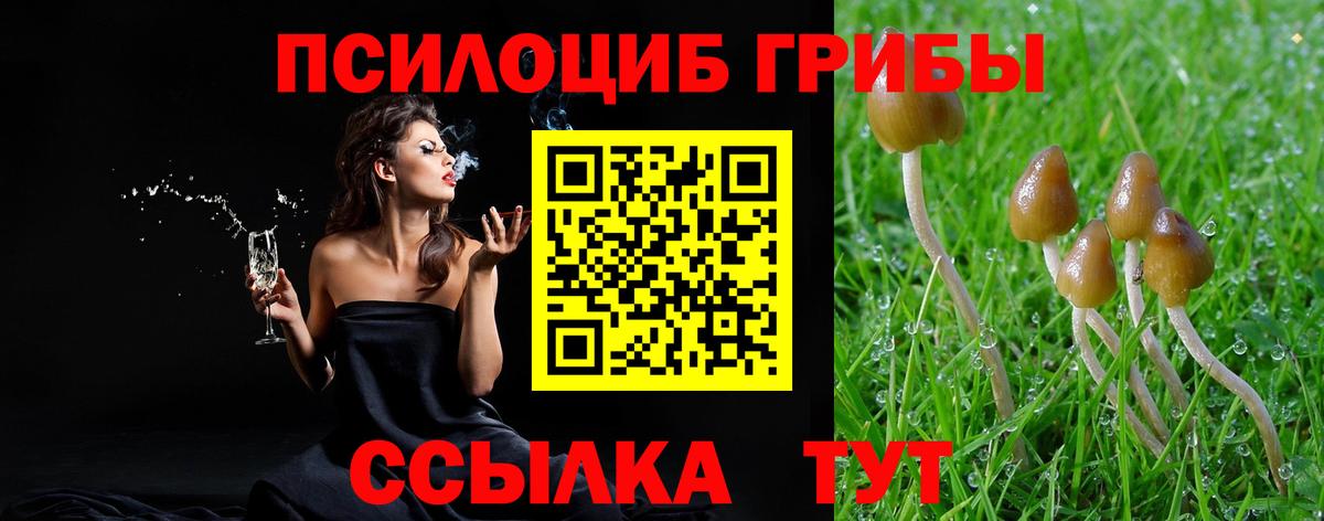 купить закладку  Галлюциногенные грибы ЛСД  Вход с VPN  Надым 